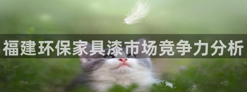 意昂5(KGAME)平台待遇：福建环保家具漆市场竞争力分析