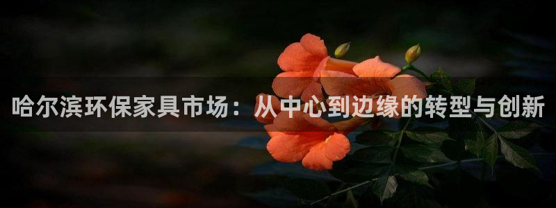 意昂5(KGAME)代理注册中心：哈尔滨环保家具市场：从中心