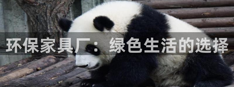 意昂5(KGAME)平台登录网站：环保家具厂：绿色生活的选择