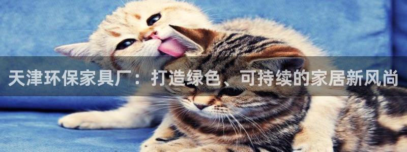 意昂5(KGAME)客户端登陆：天津环保家具厂：打造绿色、可