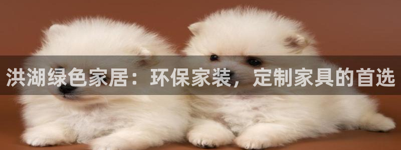意昂5(KGAME)登陆线路：洪湖绿色家居：环保家装，定制家