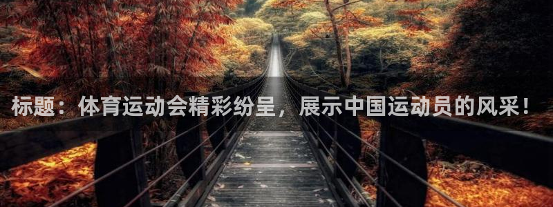 熊猫体育免费下载
