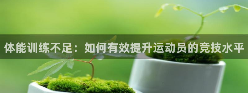 熊猫体育平台