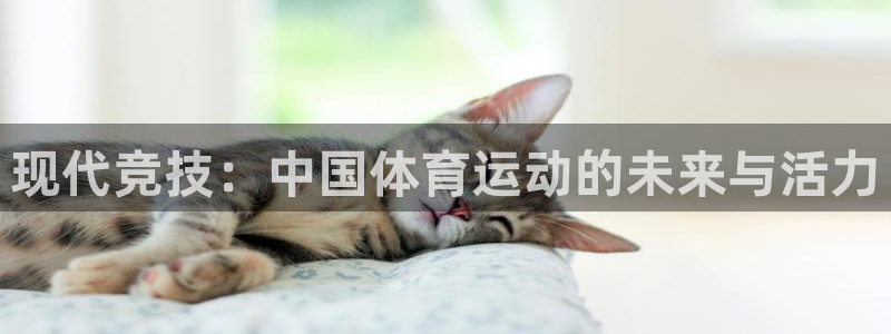 熊猫体育sports：现代竞技：中国体育运动的未来与活力