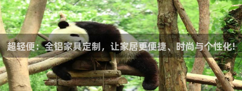 意昂5(KGAME)平台官网网址：超轻便：全铝家具定制，让家