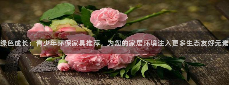 意昂5(KGAME)平台网站是什么：绿色成长：青少年环保家具