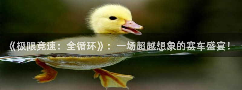 动感熊猫体育公园：《极限竞速：全循环》：一场超越想象的赛车盛宴！