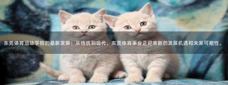 熊猫体育网址：东莞体育运动学校的最新发展：从传统到现代，东莞体育事业正迎来新的发展机遇和未来可能性。