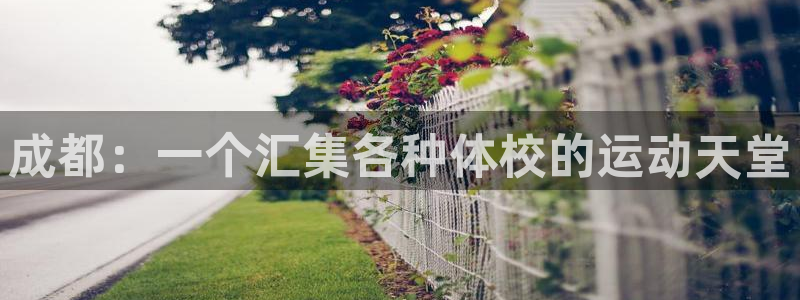 动感熊猫体育公园：成都：一个汇集各种体校的运动天堂