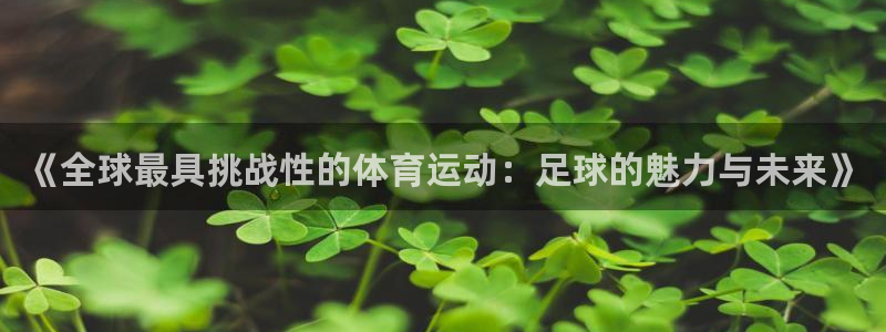 熊猫体育在线观看：《全球最具挑战性的体育运动：足球的魅力与未来》